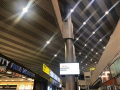 -谢列梅捷沃国际机场