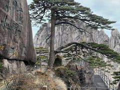 -高一点·徽味酥饼王·黄山烧饼