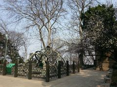 android_upload_pic-紫金山天文台
