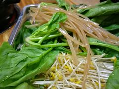 -金鼎雪山牦牛杂火锅(理县总店)