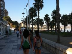 -马拉加毕加索博物馆