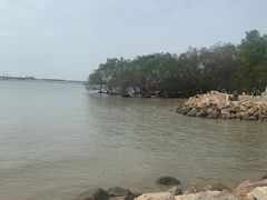 -宝安西湾红树林湿地公园