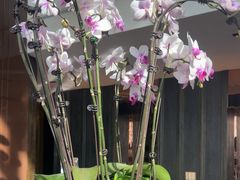 -大连君悦酒店·星海湾壹号Dalian·Dalian(星海广场店)