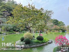 -云溪植物园