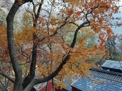 -北京上方山国家森林公园