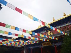-西安市广仁寺
