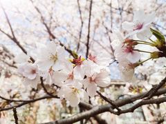 -梦菲思饼屋(瑞金宾馆店)