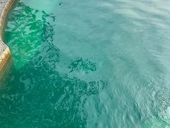 -泉眼温泉
