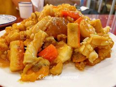 鸿运八珍豆腐-桃子餐厅·天津菜(红星路直营店)