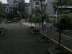 -铁山坪森林公园