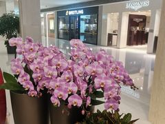 -Carbon莫卡哆·意大利复古集市餐厅(杭州大厦店)