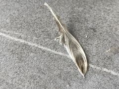 -阿弟特色海鲜餐厅·大排档(平潭店)