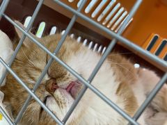 -狗舍宠物医院(四季商业广场店)