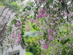 -深圳国际园林花卉博览园