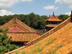 -北陵公园