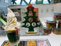 莎奴姆-Salud撒露欧洲冻酸奶(北苑上品店)