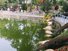 -莲湖公园