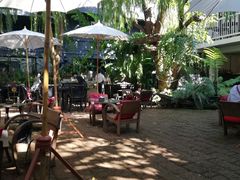 -Fern Forest Cafe