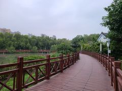-大亚湾红树林城市湿地公园