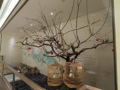 -小厨娘淮扬菜(诚信大道店)