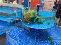 -光明渔港(海悦天地店)