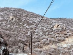 -妙峰山风景名胜区