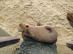 -茅山东方盐湖城景区