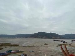 -北岐滩涂