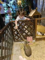 -酷嗒动物文化乐园(cutezoo西溪乐天城店)