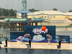 -秦皇岛乐岛海洋王国