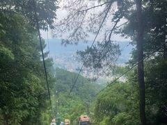-缙云山景区