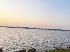 -丁香湖公园
