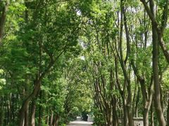 -同里国家湿地公园