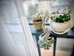 -晓V彩妆造型(大学路店)