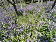 -白塘生态植物园