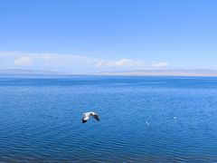 -青海湖国家重点风景名胜区