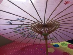 -西湖游船