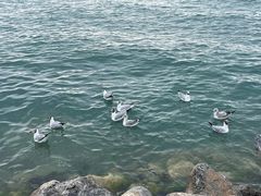 -青海湖二郎剑景区