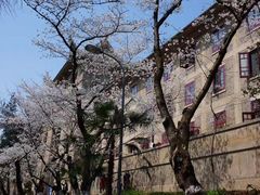 -武汉大学-樱园