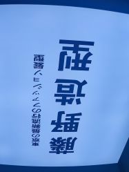 -藤野造型专业烫染接发