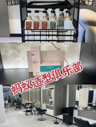 -蚂蚁造型俱乐部
