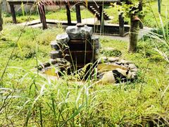 -中国大熊猫保护研究中心雅安碧峰峡基地