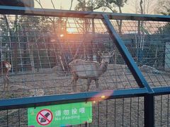 -武汉动物园