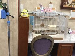 -宠爱国际动物医院· 猫科· 外科·中兽医(长白店)