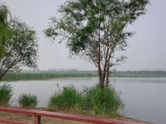 -绿堤公园