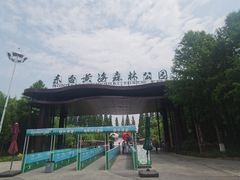 -黄海国家森林公园