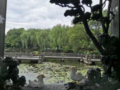 -布丁严选酒店(杭州武林西湖文化广场地铁站店)