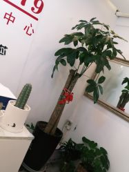 -skin79皮肤管理中心
