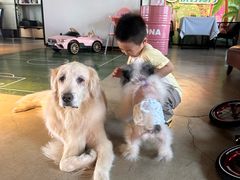 -百好乐宠物友好餐厅(朝外大街店)