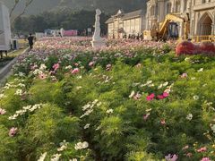 -玫瑰海岸文化旅游度假区